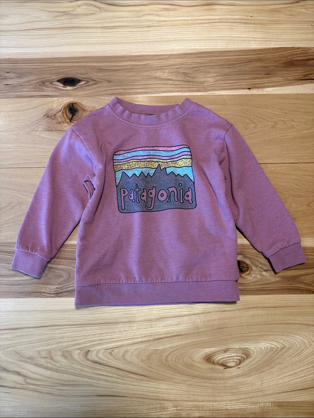 Patagonia Pink-Mauve Crewneck Sweatshirt with Mountain Logo